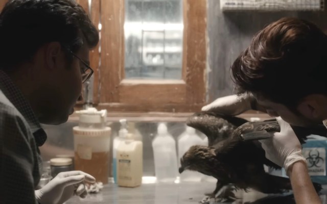 "Immeasurable damage."