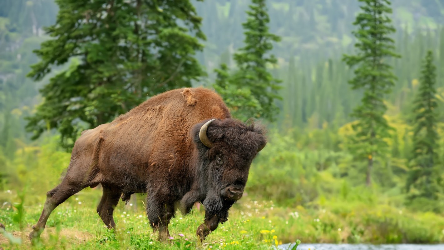 Respecting boundaries in nature is important for safety.