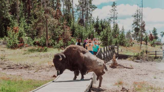 "Do these people get huge fines?"