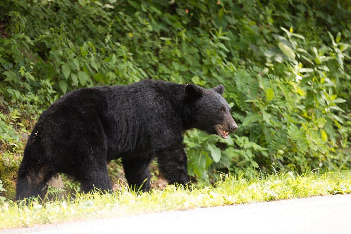 "Keep a safe distance."