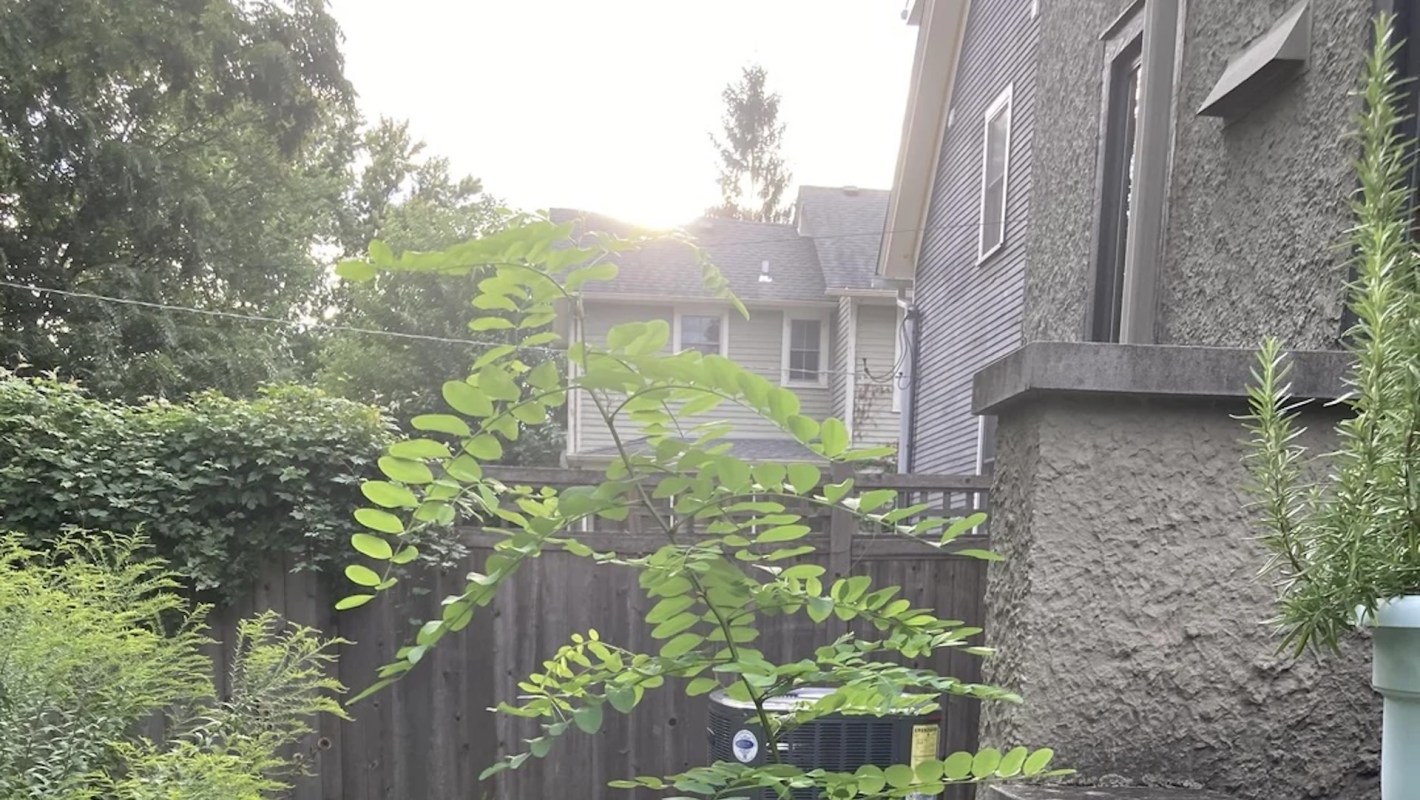 "Are you sure the person who gifted it to you likes you?"