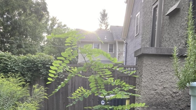 "Are you sure the person who gifted it to you likes you?"