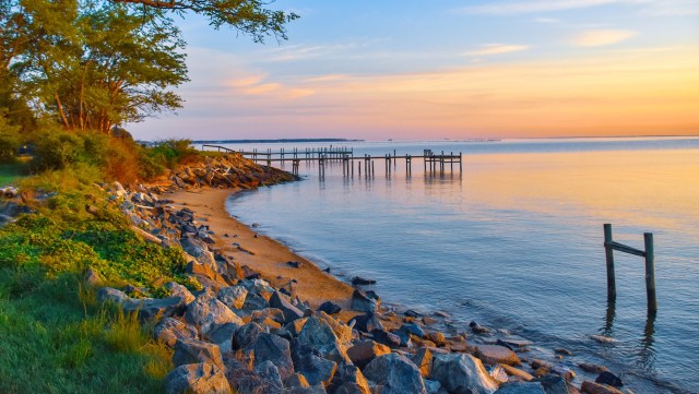 "It’s inexpensive and it’s plentiful."