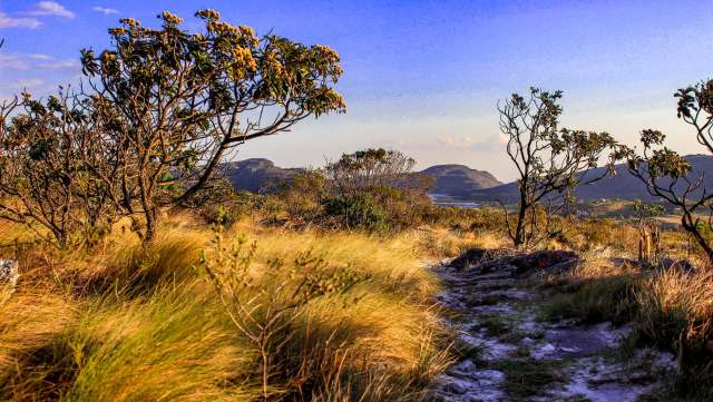 "I'm glad it worked."