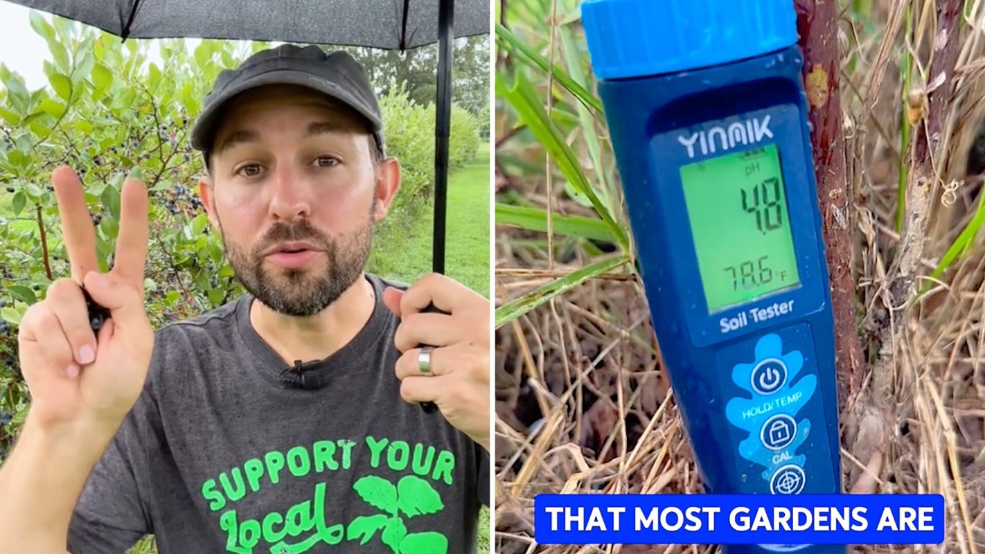 He encourages followers to try the same strategies.