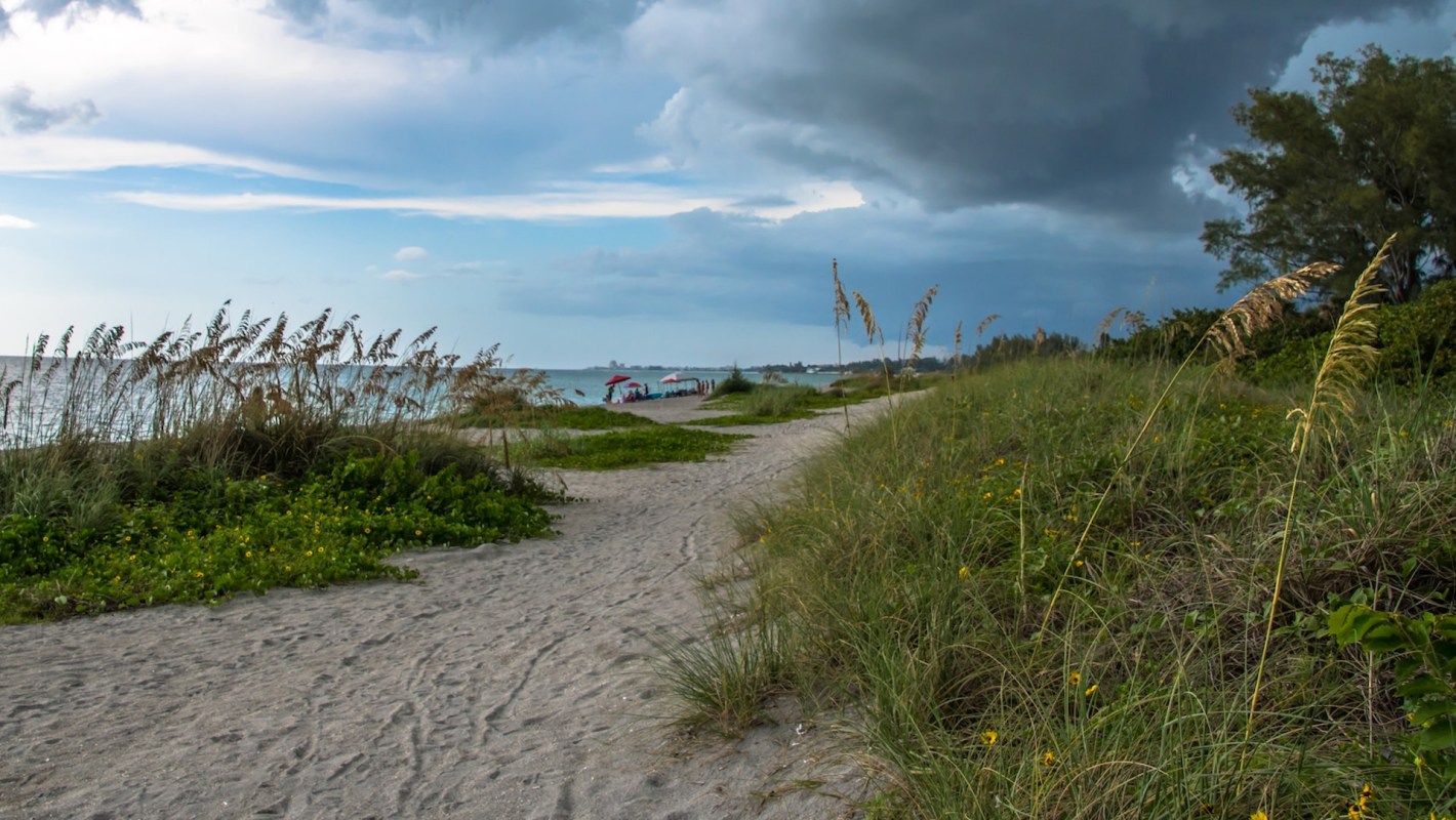 "Neither of these animals [is] typically found by the beach."