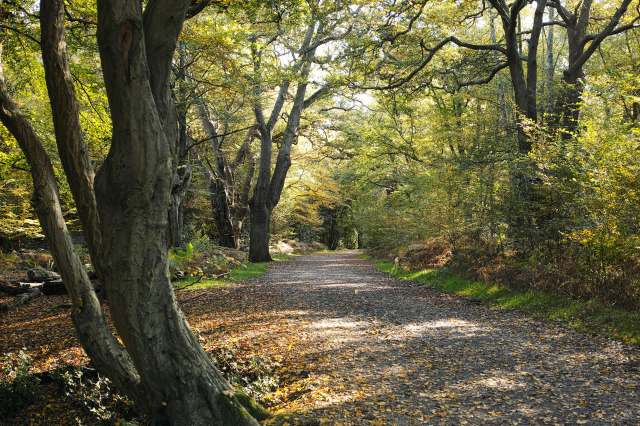 "Unfortunately some people need to step up."