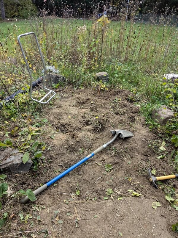 Fellow gardeners shared their success stories with the method.