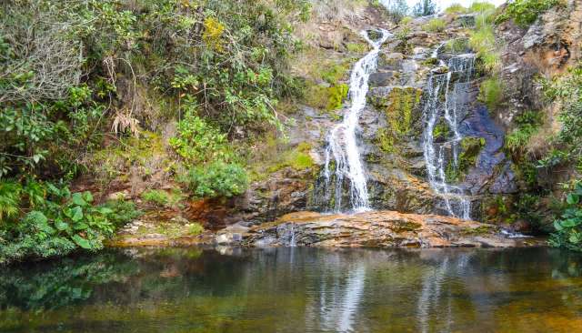 Researchers aren’t exactly sure why the fish were swimming upstream.