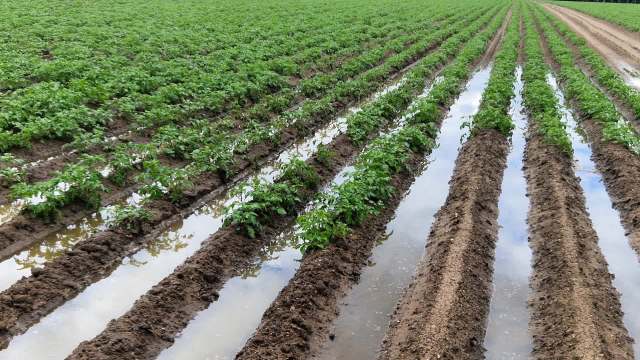 When local harvests fail, communities lose more than just produce.