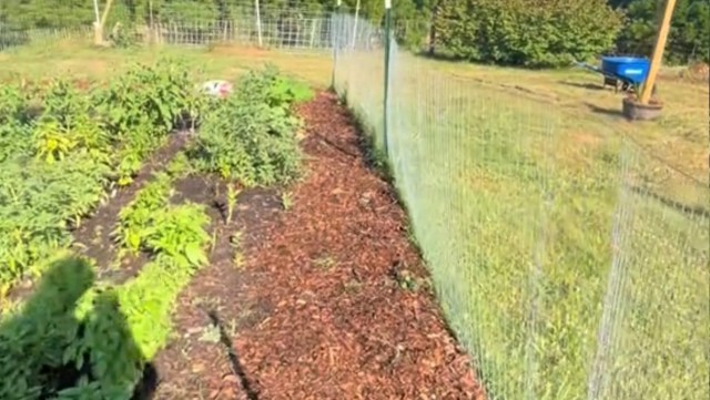 "This project has been on our list for a while."