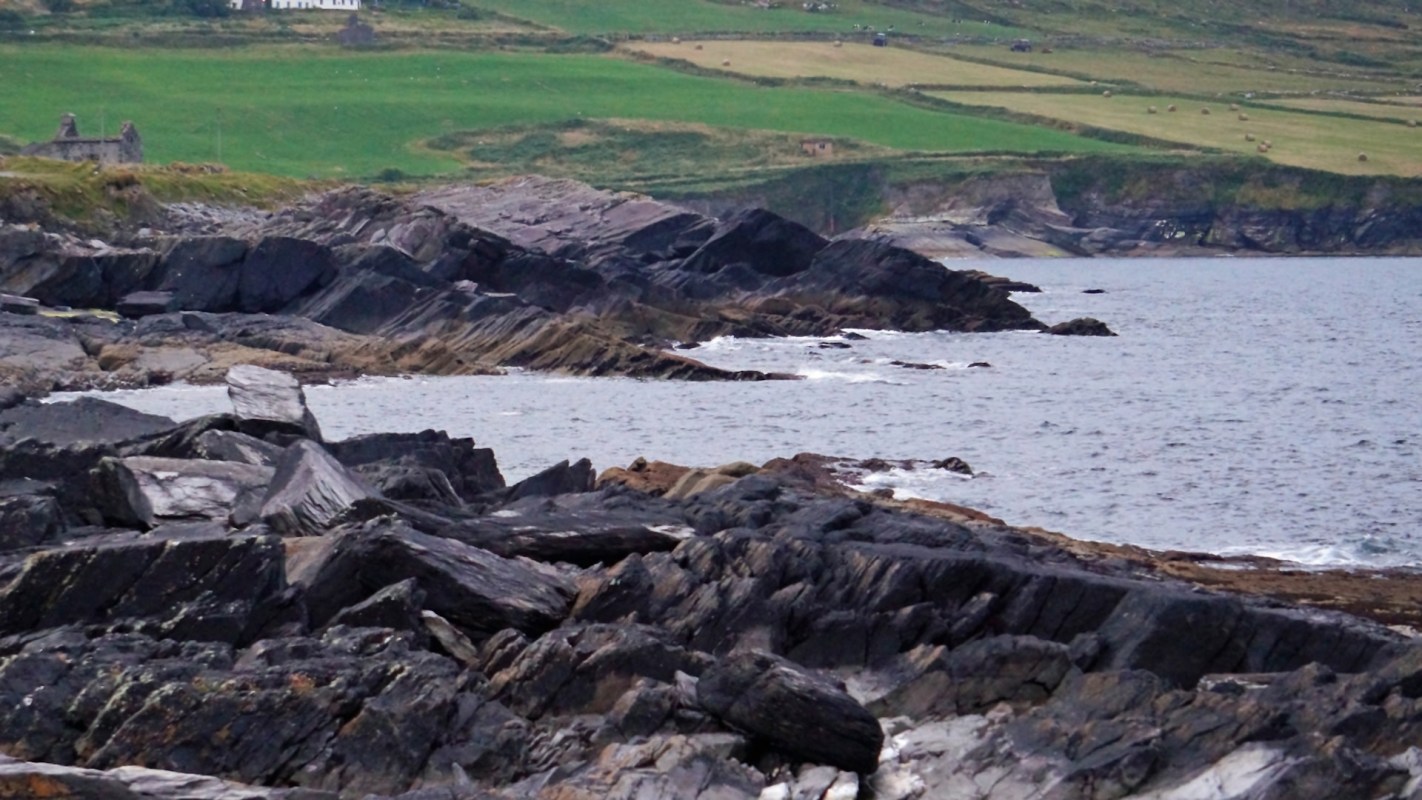 "To see this fossil species ... back in our waters is incredible."