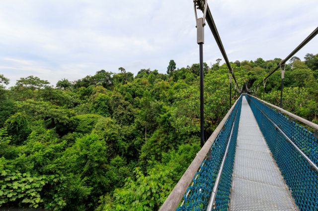 "He was the only male in the herd, keeping watch against any potential threats."