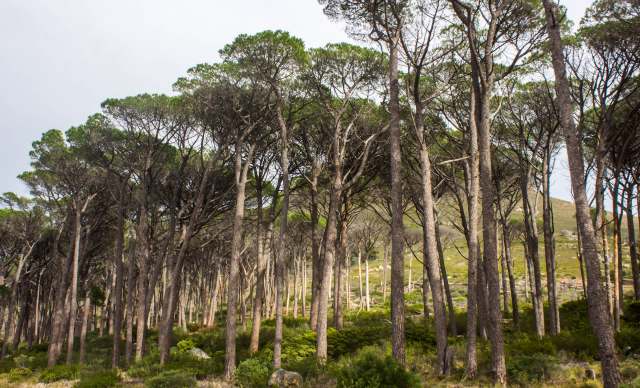 "That's really perverse."