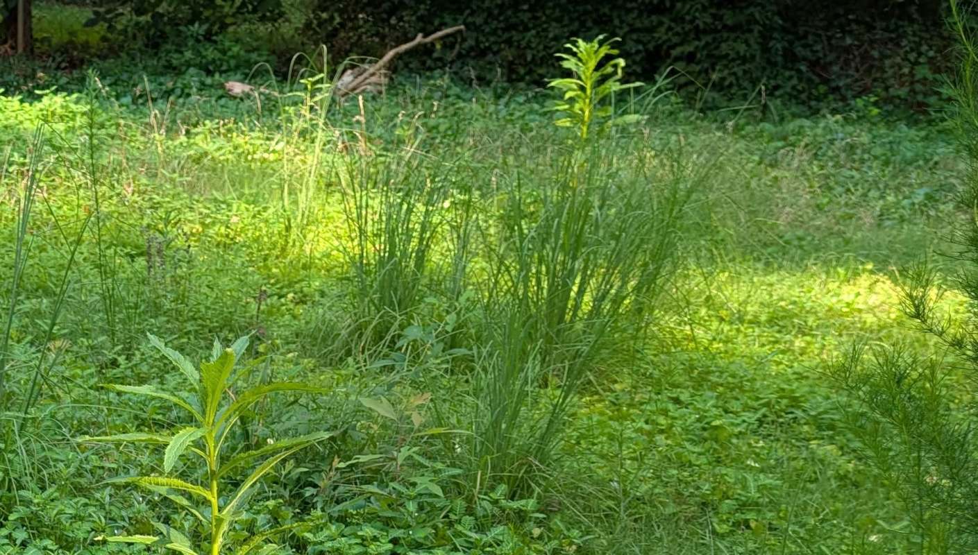 "Just don't turn your back on them."