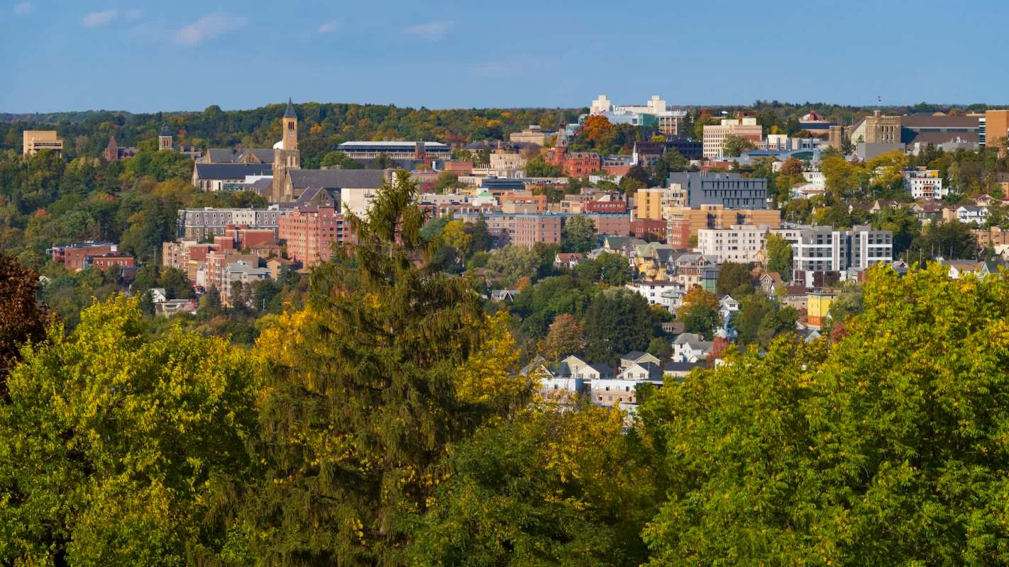 "Our hope is that we can give [cities] something they can use to make good decisions."