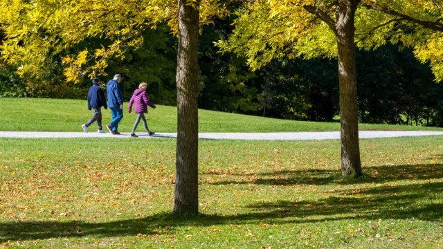 "Thank you for the hard work."