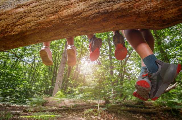 "The time to act is now!"