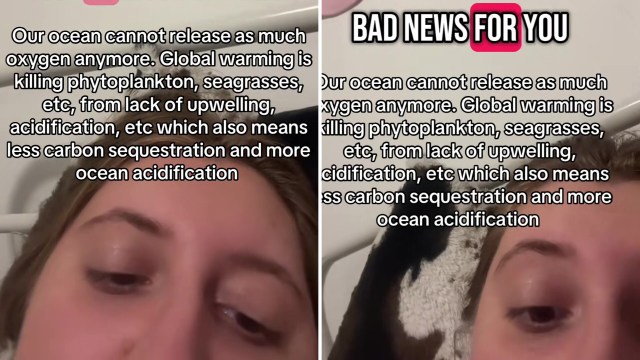 Commenters seemed angry and dejected.