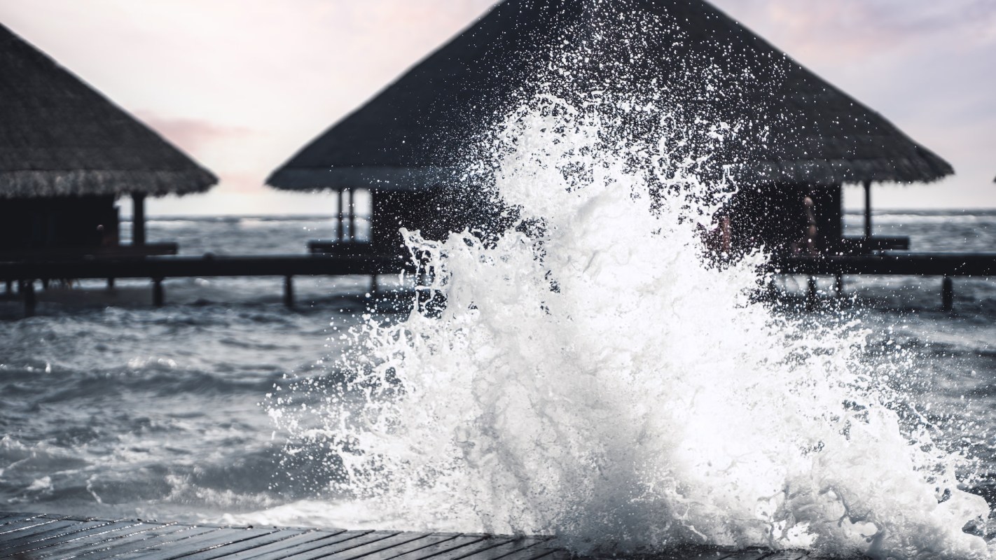 "Our very survival depends on it."