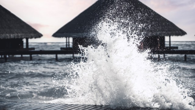 "Our very survival depends on it."