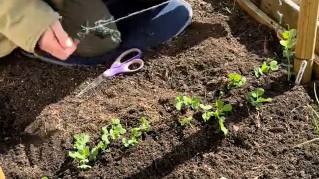 "I'm annoyed I didn't think of that."