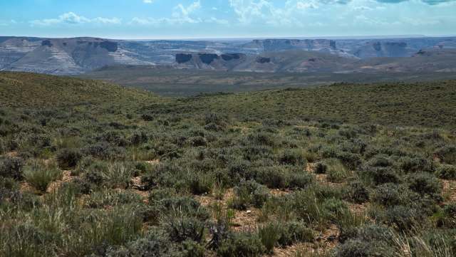 "The public may not fully understand."