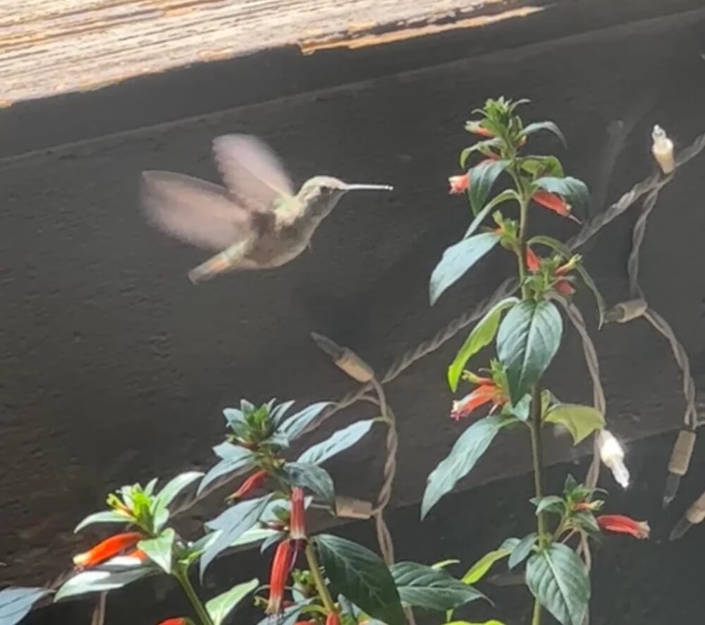 Fortunately, most HOAs have clearly defined processes for challenging unfair decisions.