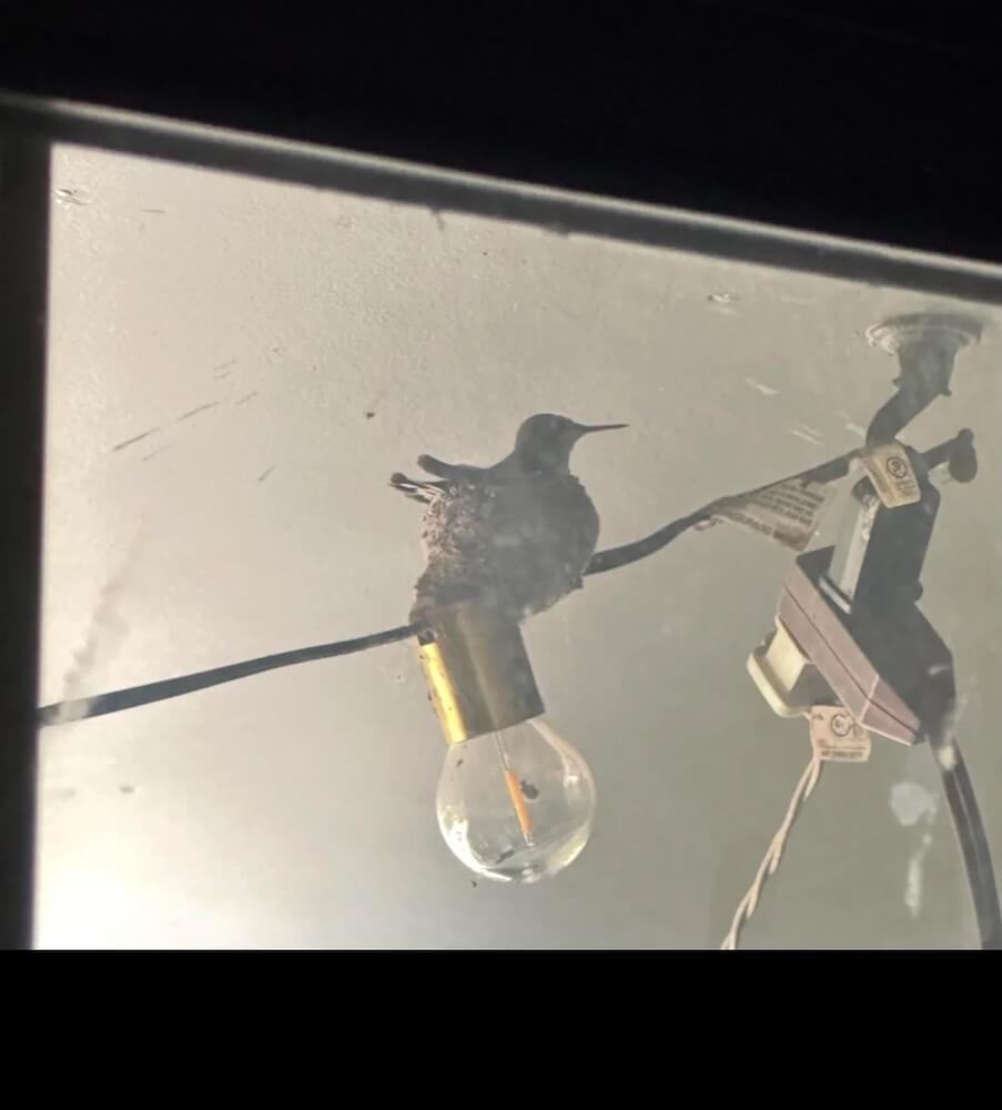 Fortunately, most HOAs have clearly defined processes for challenging unfair decisions.