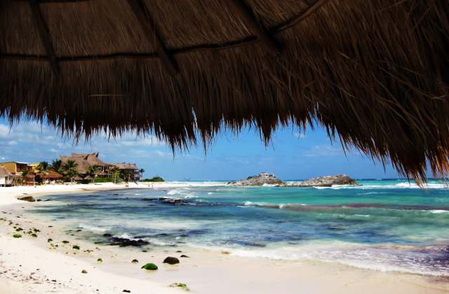 "Don’t let their cuteness fool you."