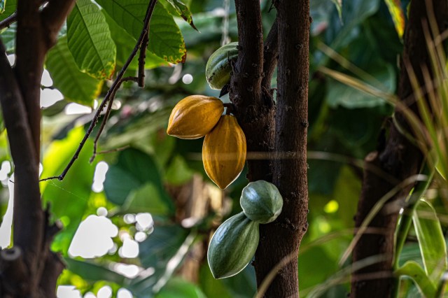 "A win-win situation."