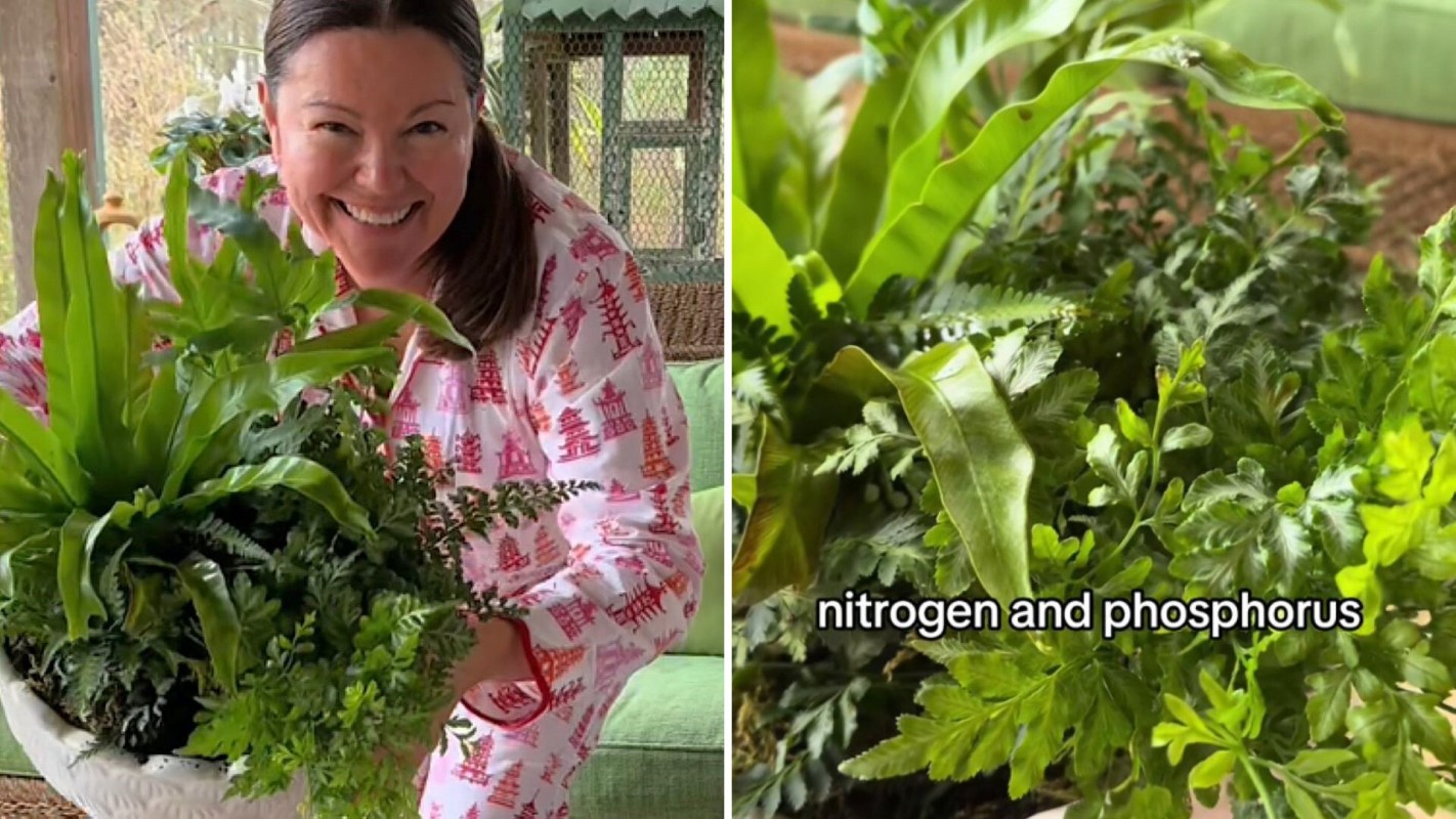 "I do this once a month."