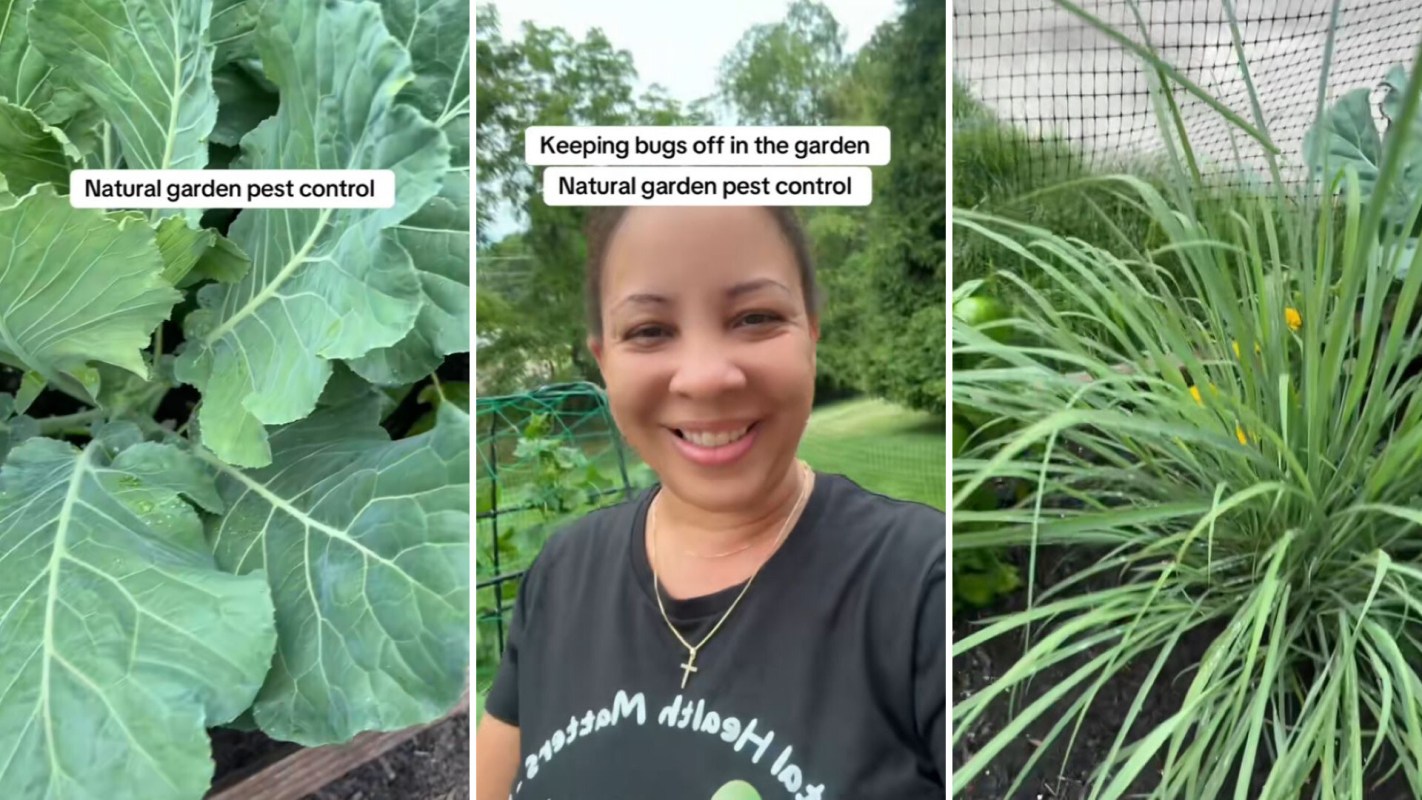 "I've noticed a reduction in bugs too."