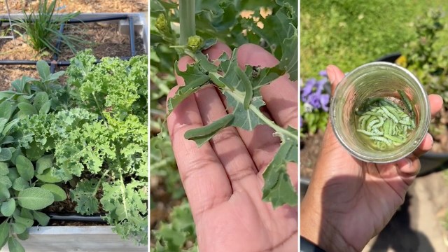 "I need to try this."