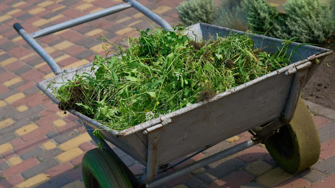 Commenters on the Reddit post shared their feedback.