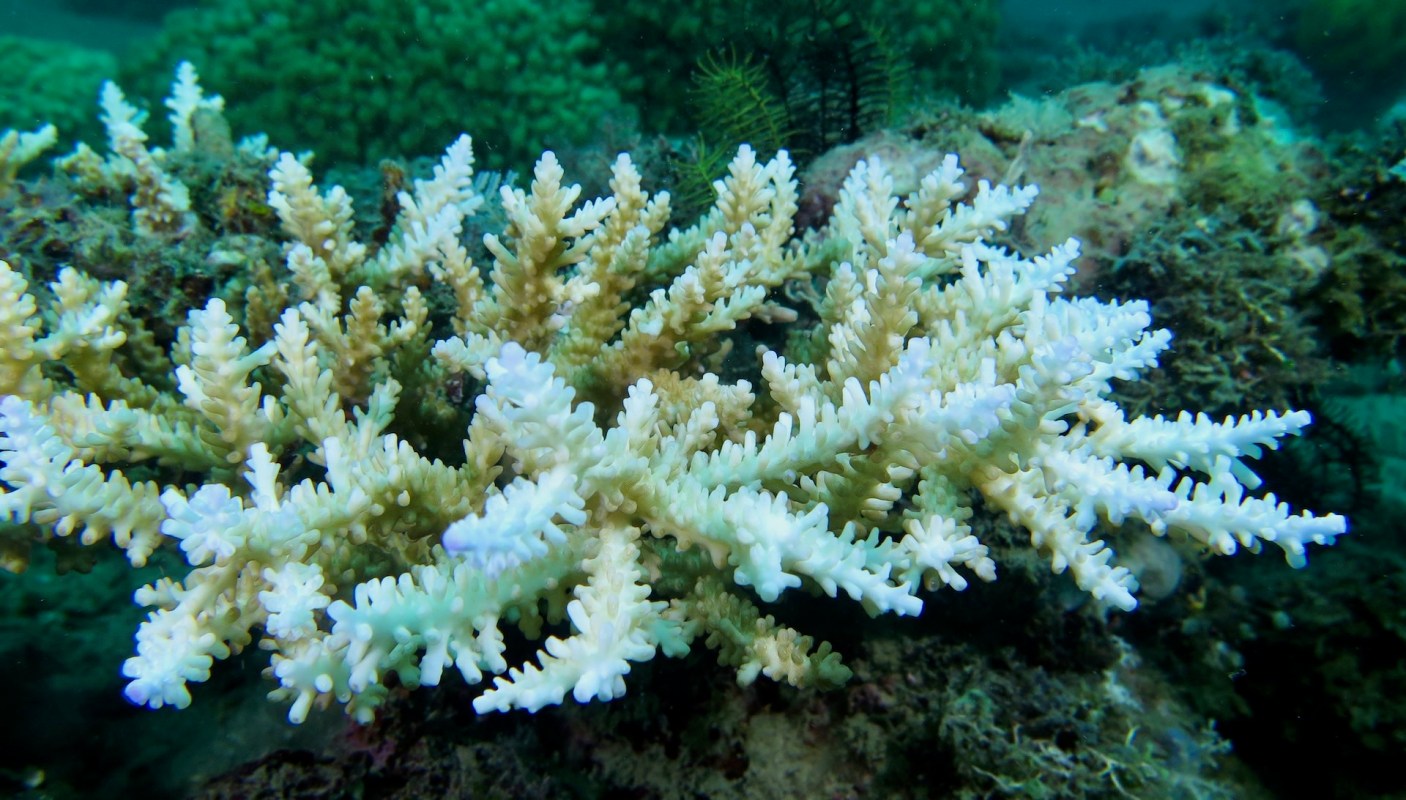 "We will ultimately get to a tipping point."