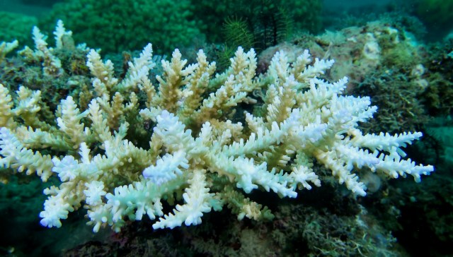 "We will ultimately get to a tipping point."