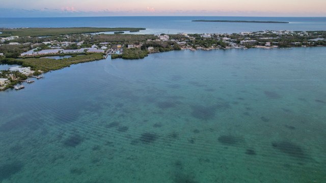 The Coral Restoration Foundation stepped in this year to assist the coral spawn.
