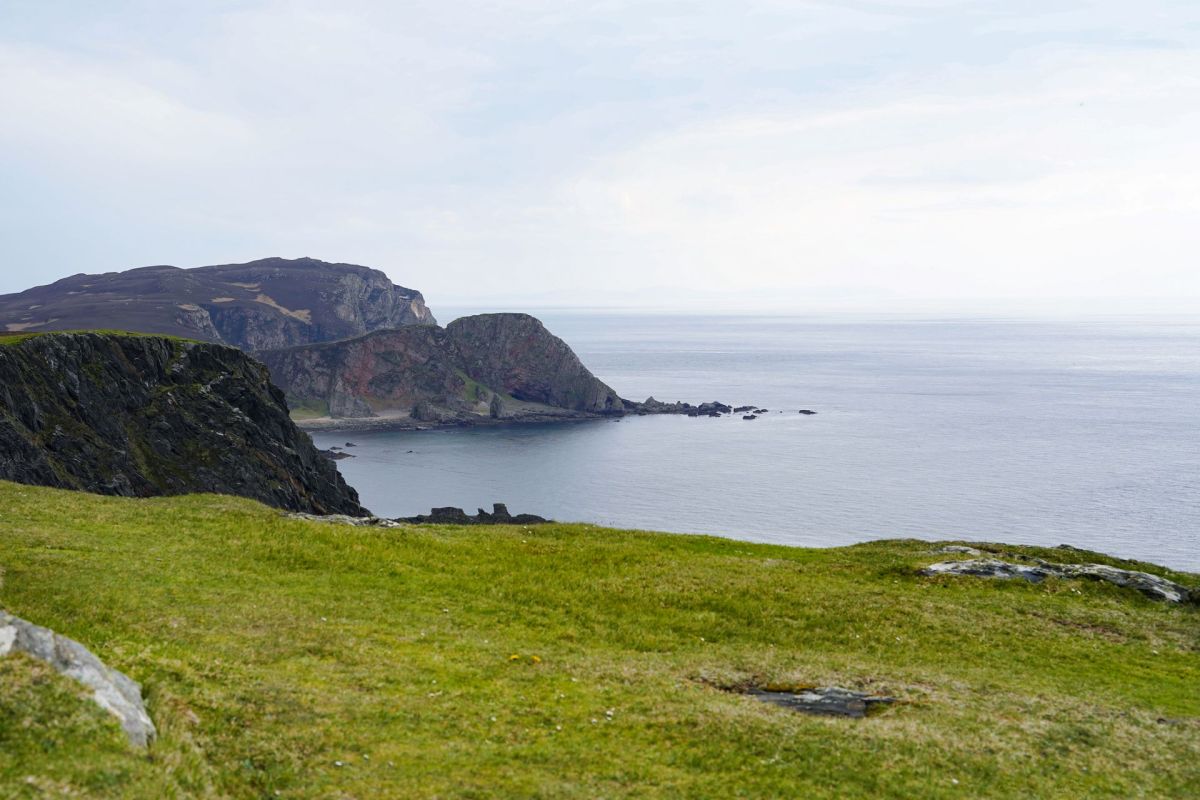 "This is a secretive bird."