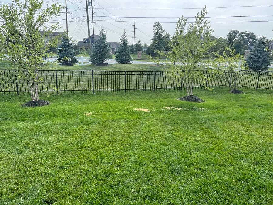 "Unfortunately a common myth."