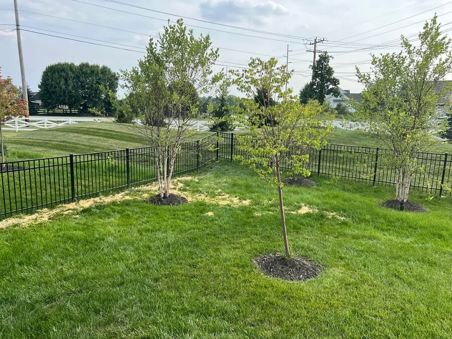 "Unfortunately a common myth."