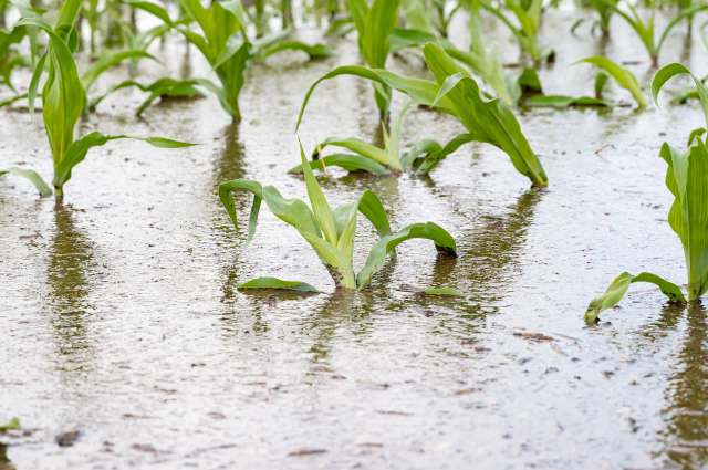 "I’ve used up all my savings."