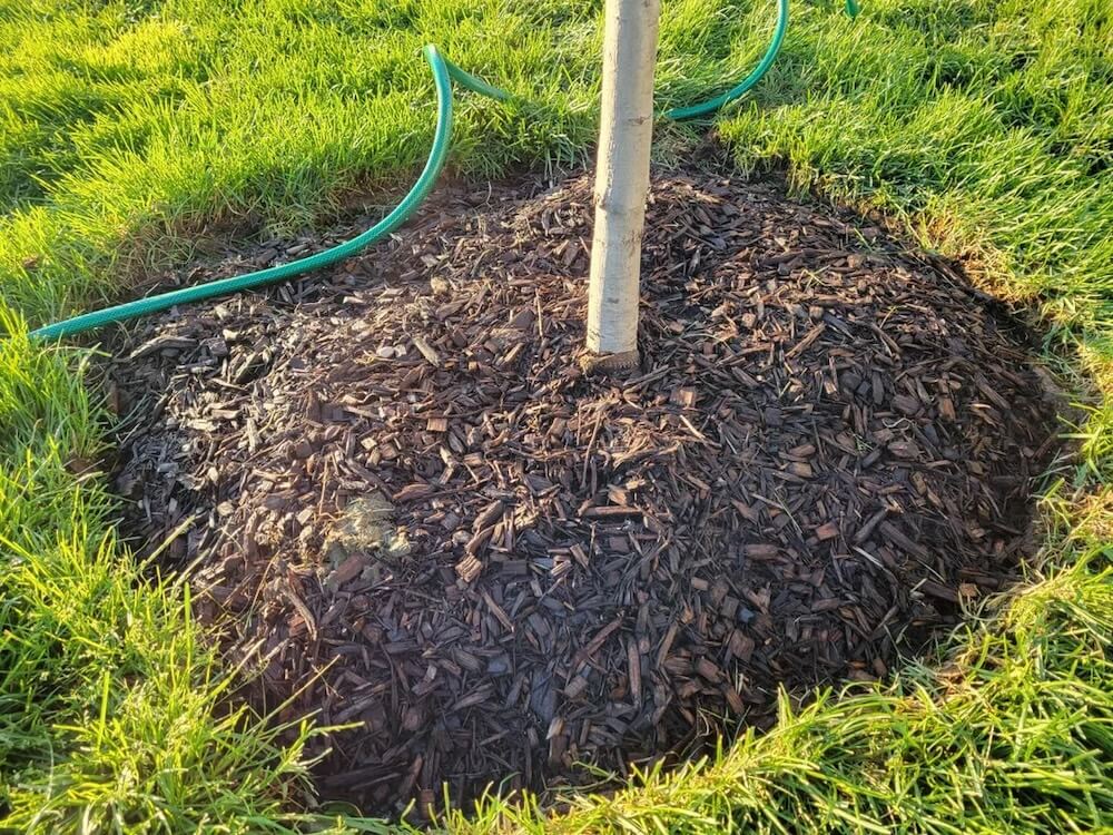 "I would seriously recommend you demand they redo it."