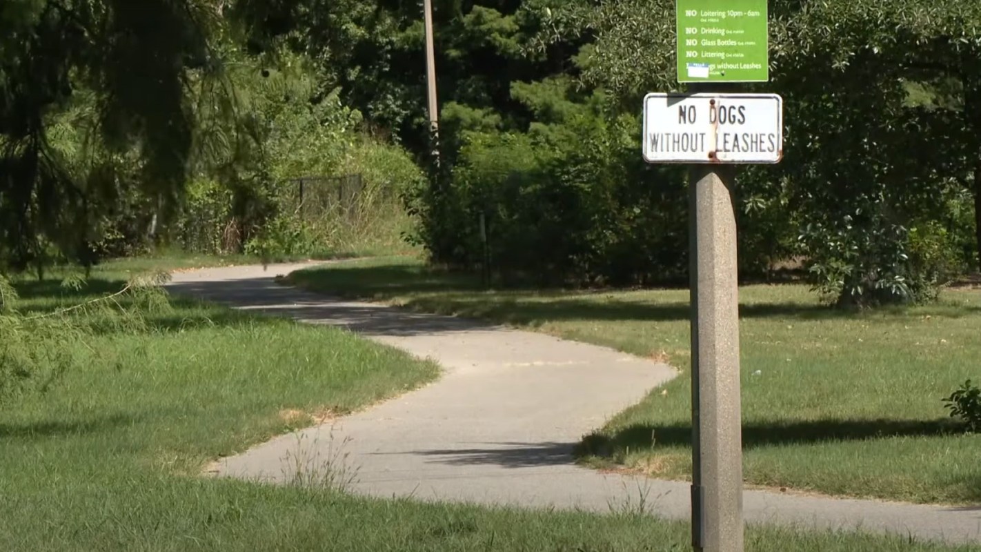 "He started to kind of follow us."