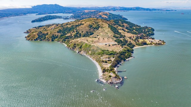 "If a visitor had told us about it, we definitely would not have believed them."