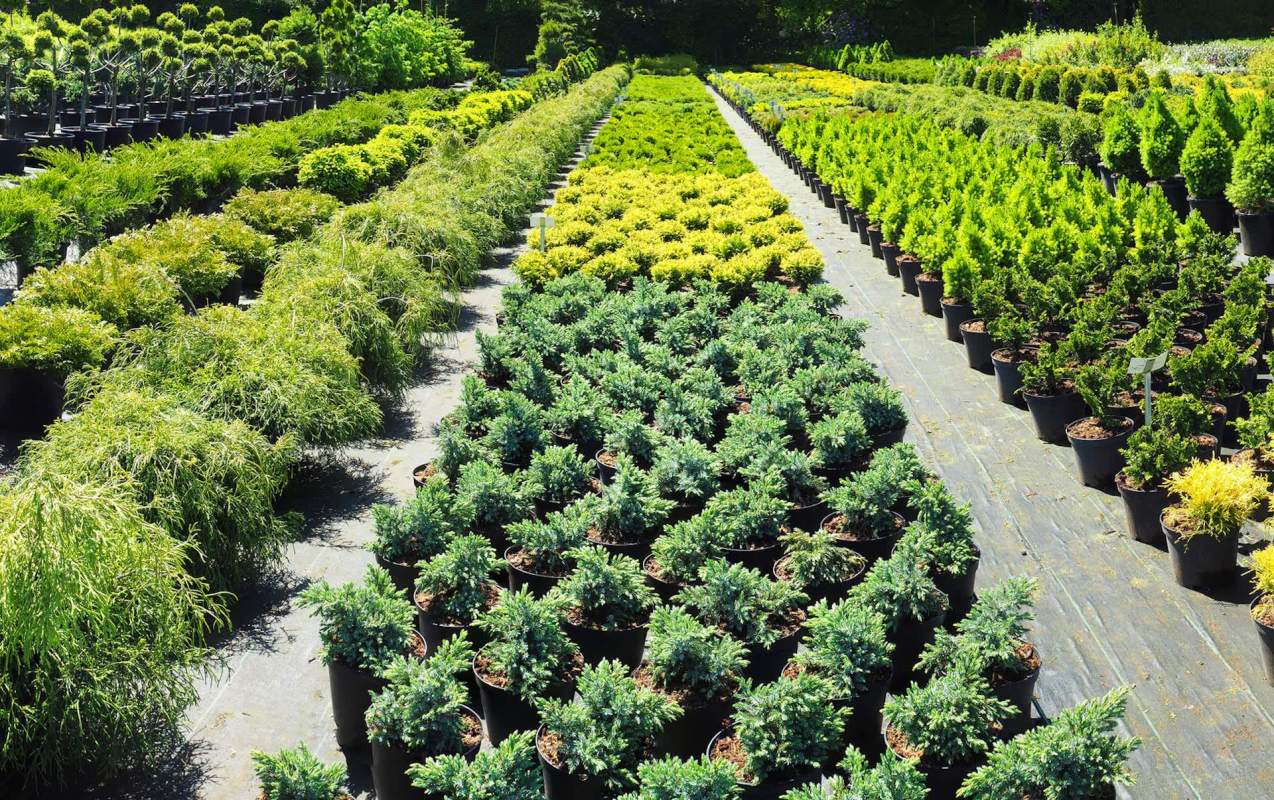 "All we can do is spread the word."