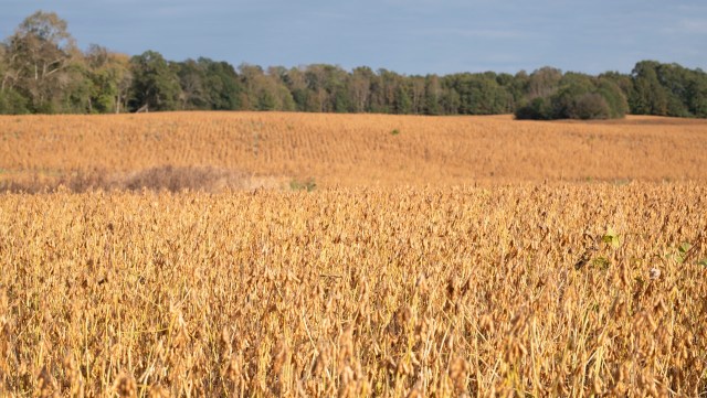 "Any stress is going to be amplified."