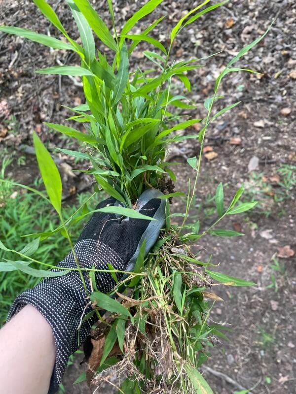 "Keep up the good fight."