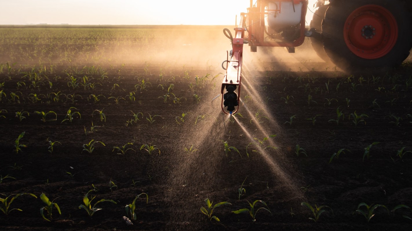 "We’re seeing a regrettable substitution."