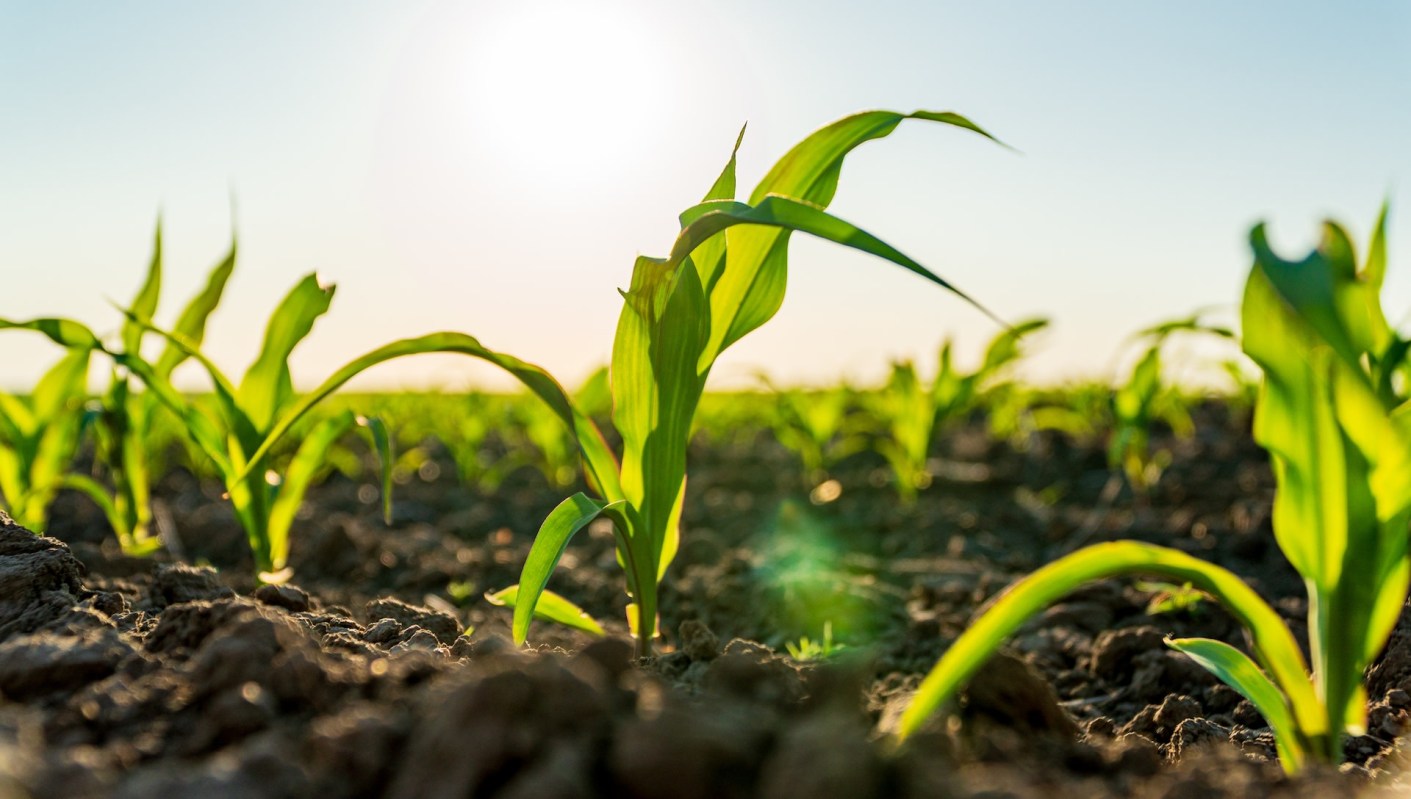 "The workload never reduces."